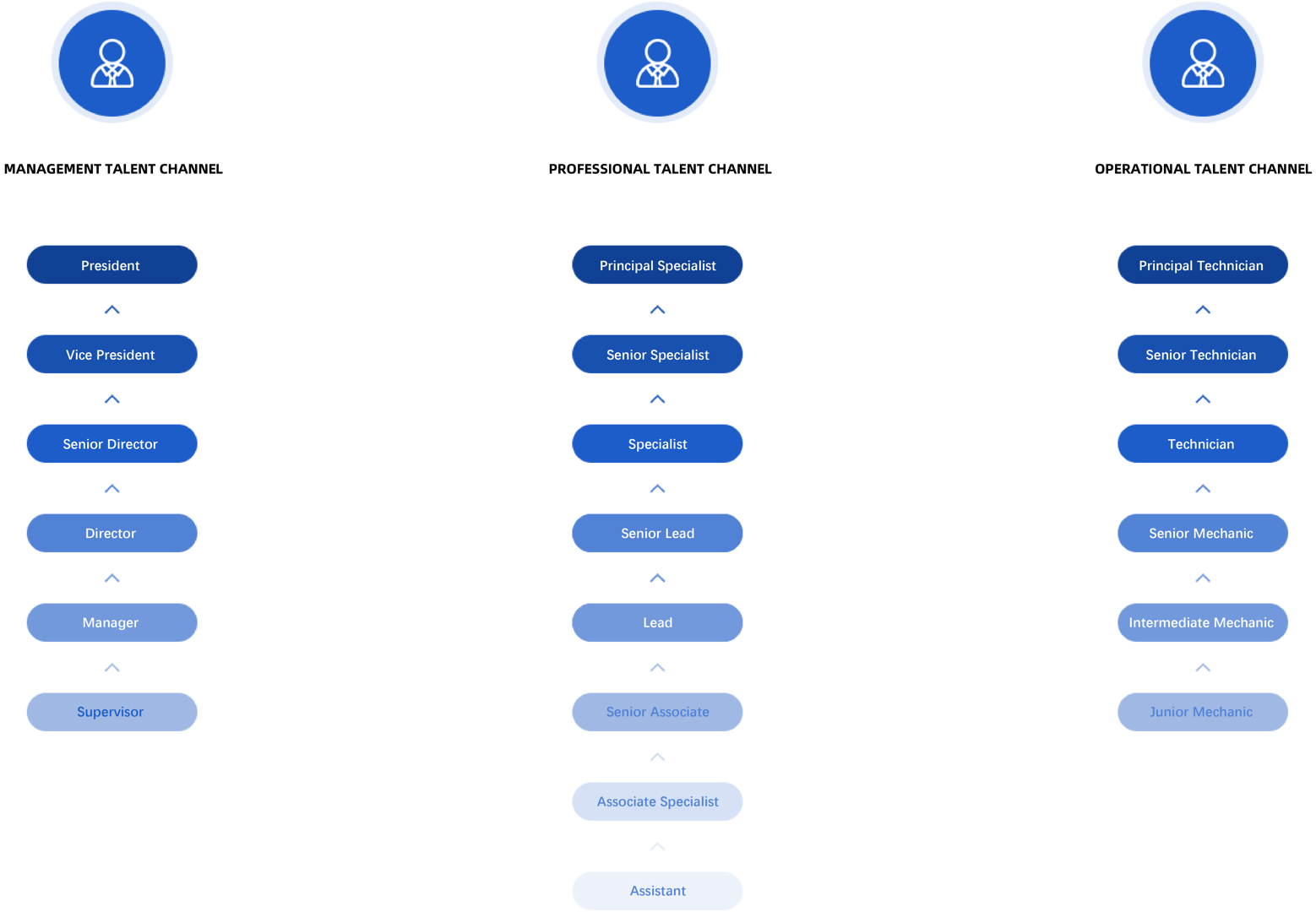 Sunwill Talent Growth Pathway