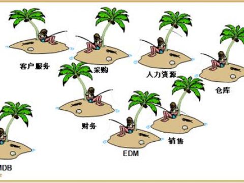 SAP ERP系统实施前瞻 